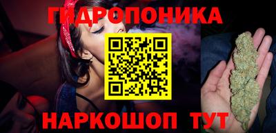 прущая мука Будённовск