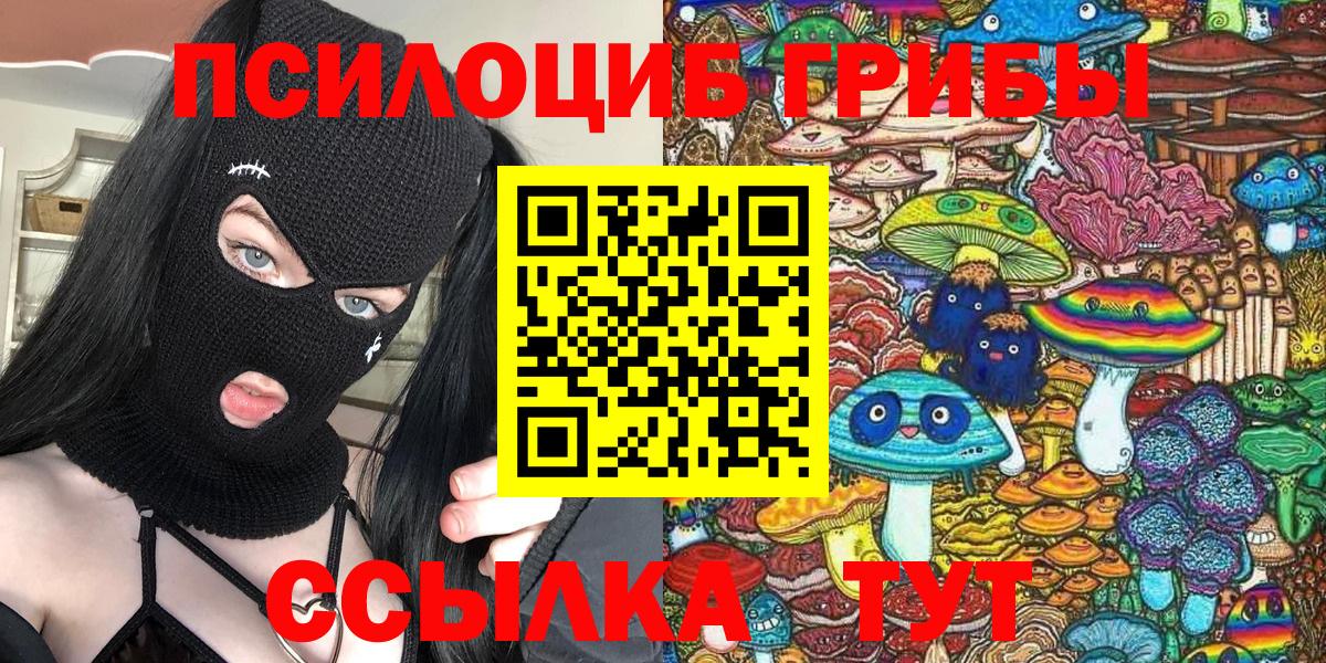 Псилоцибиновые грибы мицелий Новотроицк